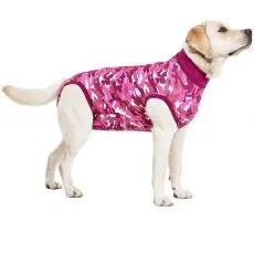 Haină pentru c&acirc;ine