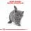 Royal Canin British Shorthair Kitten - 2 kg