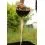 Fox Baiting Spoons Large baiting spoon