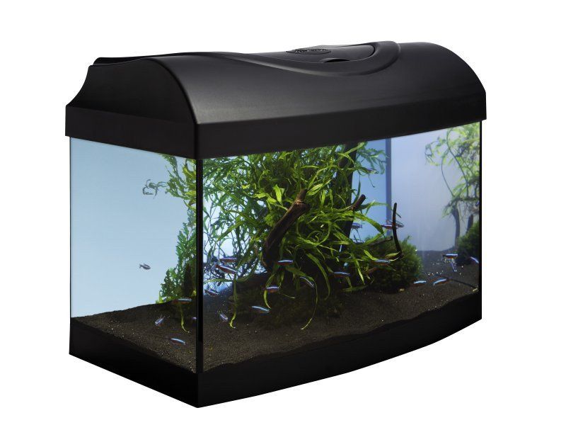 Acvariu 25l+echipament – Diversa STARTUP 40 LED Expert, cu geam frontal curbat, negru, capac, iluminare, filtru, încălzitor