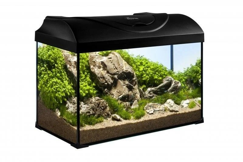 Set Acvariu STARTUP 50 LED EXPERT 10W - PLAT - NEGRU
