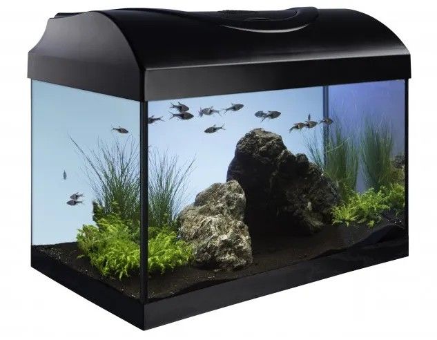 Set Acvariu STARTUP 60 LED Expert 10W - PLAT - NEGRU