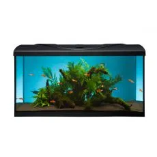 Acvariu STARTUP 80 LED Expert 16W - PLAT - NEGRU