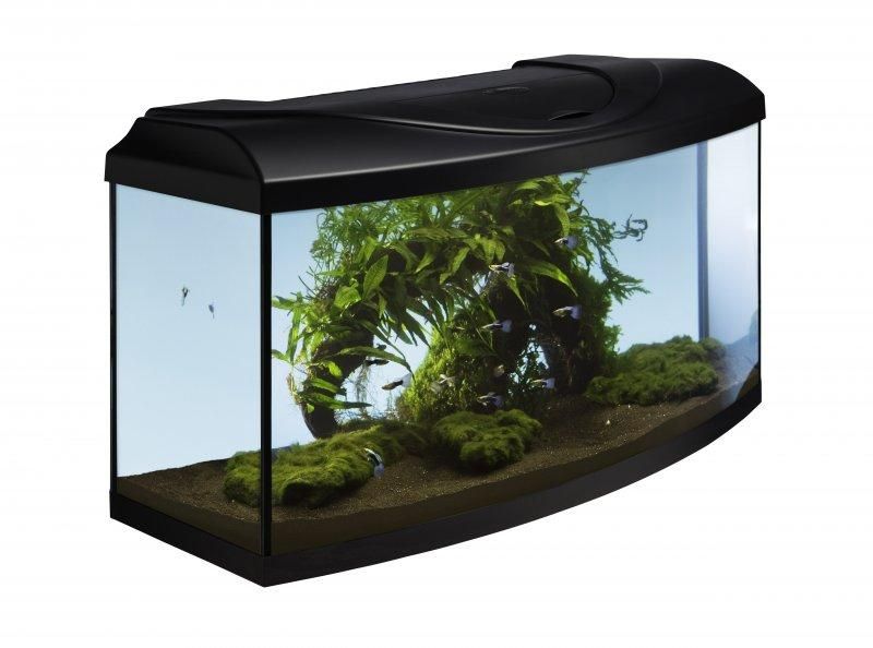 Acvariu 112l+echipament – Diversa STARTUP 80 LED Expert, cu geam frontal curbat, negru, capac, iluminare, filtru, încălzitor