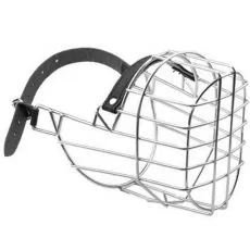 Botniţe c&acirc;ini