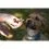 Geloren DOG tablete de gelatină masticabile L-XL, 420 g (60 buc)