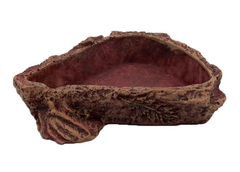 REPTILE NOVA Bol de băut 6 x 6 x 10 cm