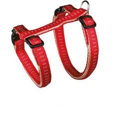 Zgardă, lesă şi ham pentru pisici