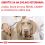 Royal Canin VHN Neutered Adult Medium Dog 3,5 kg