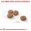 ROYAL CANIN MINI STERILISED ADULT 2 x 8 kg