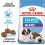 ROYAL CANIN GIANT STARTER M&B 2 x 15 kg