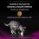 Purina Pro Plan Veterinary Diets Feline – UR St/Ox Urinary Ocean Fish 5 kg