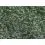 Delphin Rig SPACE C2G Penar pentru monturi