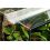 Terrarium TERRASET 30 FOREST  - 30 x 25 x 35 cm
