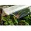 Terrarium TERRASET 30 FOREST  - 30 x 25 x 35 cm