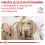 Royal Canin VHN Dog Gastrointestinal Low Fat 2 x 12 kg