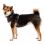 Ruffwear Front Range® Harnașament, Basalt Gray L/XL
