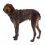 Ruffwear Front Range® Harnașament, Moonlight Mountains S