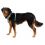 Ruffwear Front Range® Harnașament, Spring Mountains L/XL