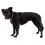 Ruffwear Hi & Light&trade; Harness, Alpenglow Pink XS