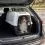 Ferplast Cutie de transport Clipper 5 Plus Trasportino
