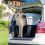 Ferplast Cutie de transport Clipper 7 Plus Trasportino