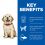 Hill's Science Plan Canine Puppy Large Breed Chicken 2,5 kg