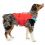 Kurgo Surf N Turf Dog Life Jacket Vesta de înot pentru câini, XL roșu