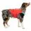 Kurgo Surf N Turf Dog Life Jacket Vesta de &icirc;not pentru c&acirc;ini, XL roșu