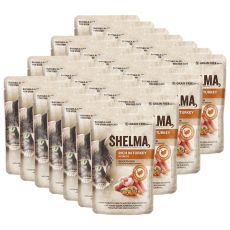 Shelma Cat curcan-buckthorn în sos 28 x 85 g