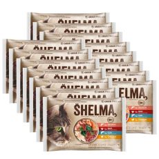 Shelma Cat Carne și pește în sos 60 x 85 g