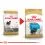 ROYAL CANIN YORKSHIRE JUNIOR 500g