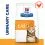 Hill's Prescription Diet c/d Multicare &Icirc;ngrijirea sistemului urinar pentru pisici 3 kg