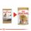 ROYAL CANIN ADULT YORKSHIRE 36 x 85 g