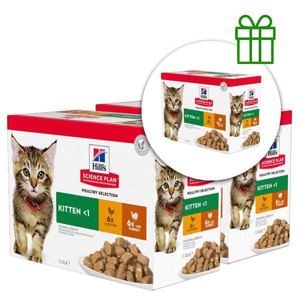 Hill's Science Plan Feline Kitten Pui & Curcan 12 x 85g, 2+1 GRATUIT