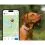 Tractive DOG 6 - Localizator GPS pentru c&acirc;ini și monitor de sănătate, maro