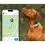 Tractive DOG 6 - Localizator GPS pentru c&acirc;ini și monitor de sănătate, mentă