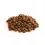 FISH4DOGS FINEST Puppy Salmon small 12 kg