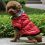 Jachetă pentru câine, cu manşete negre - roşu, XS