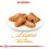 ROYAL CANIN Maine Coon Pliculeț - 24 x 85 g