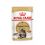 ROYAL CANIN Maine Coon Pliculeț - 24 x 85 g