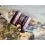 Shimano TX1 Pop-Up Squid & Octopus 15mm - 80g Washed out Pink