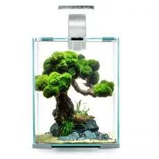 AQUAEL SHRIMP SET SMART D&N 10 ALB