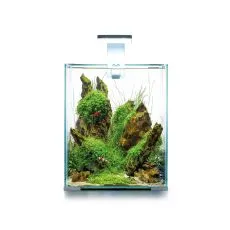 AQUAEL SHRIMP SET SMART D&N 20 ALB