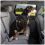 Kurgo Direct to Seat Belt Swivel Tether Orange