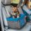Kurgo Heather Booster Seat Scaun auto, Heather Grey/Coastal Blue