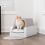 PetSafe ScoopFree Original Accesorii pentru litieră automată