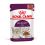 Royal Canin FHN Sensory Feel Gravy 36 x 85 g