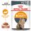 Royal Canin Hair & Skin Care Gravy pliculeț pentru pisici în sos 24 x 85 g
