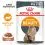 Royal Canin Hair & Skin Care Gravy pliculeț pentru pisici &icirc;n sos 24 x 85 g